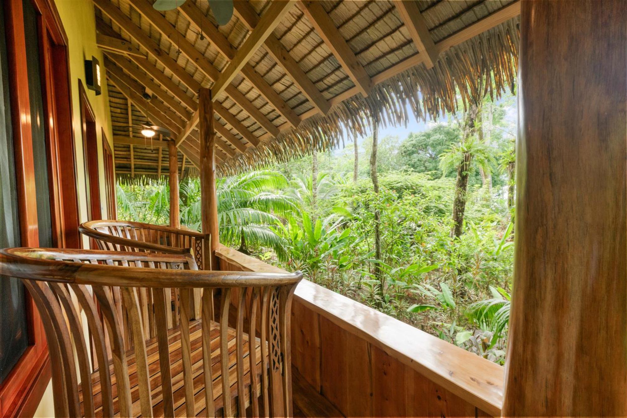Copa De Arbol Beach & Rainforest Resort Drakes Bay Dış mekan fotoğraf