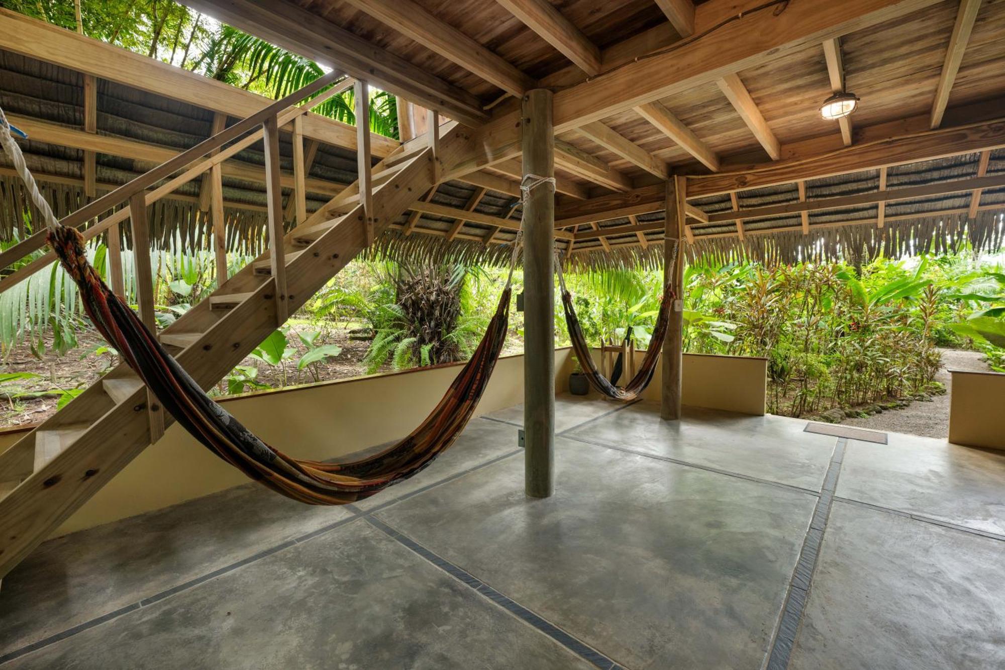 Copa De Arbol Beach & Rainforest Resort Drakes Bay Dış mekan fotoğraf