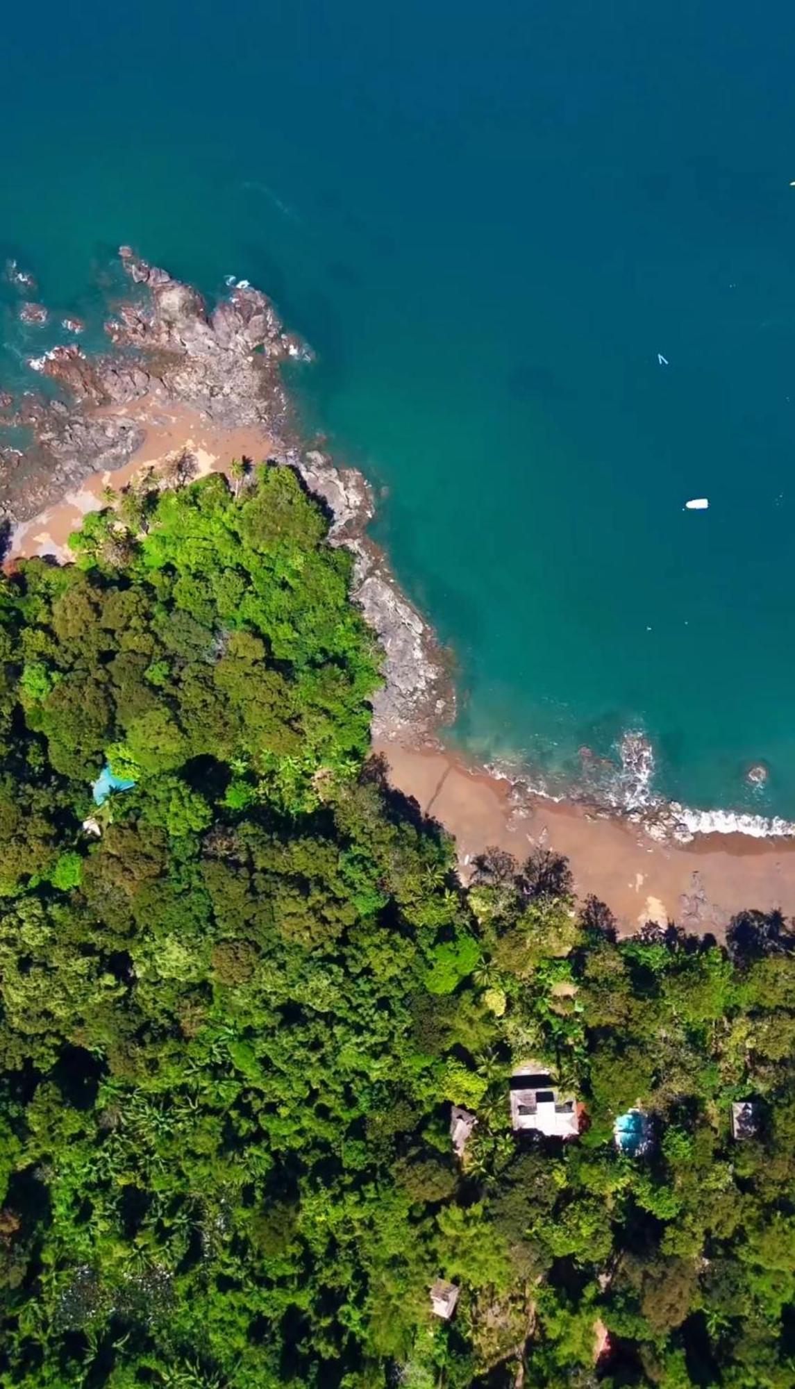 Copa De Arbol Beach & Rainforest Resort Drakes Bay Dış mekan fotoğraf