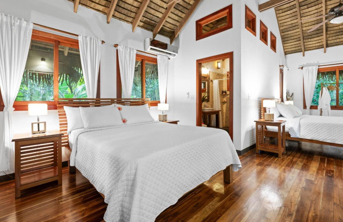 Copa De Arbol Beach & Rainforest Resort Drakes Bay Dış mekan fotoğraf